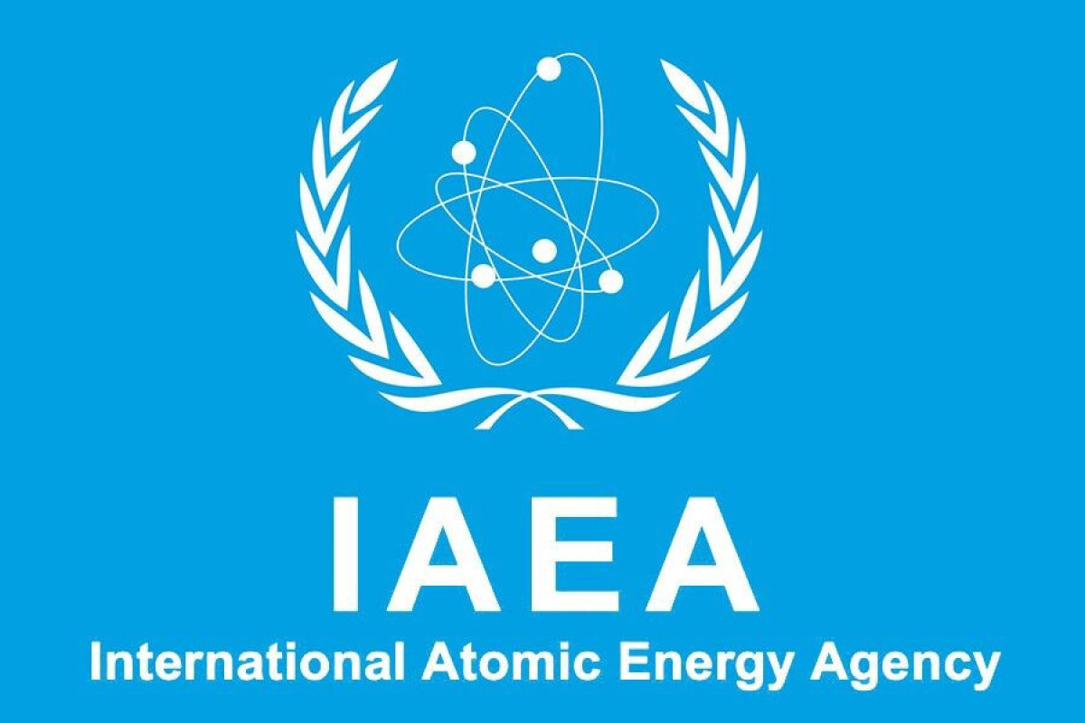 Россия сотрудничает с МАГАТЭ и развивает свою атомную энергетику