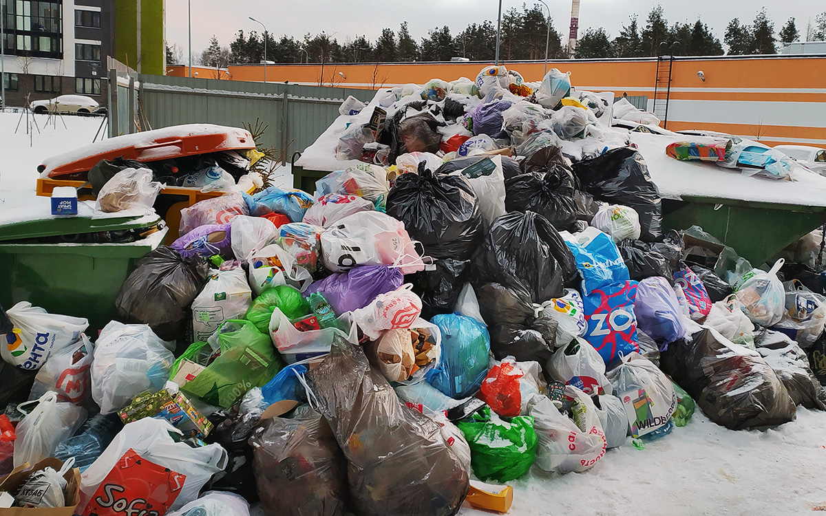 Проблемы с вывозом мусора в Петербурге привели к росту популяции крыс