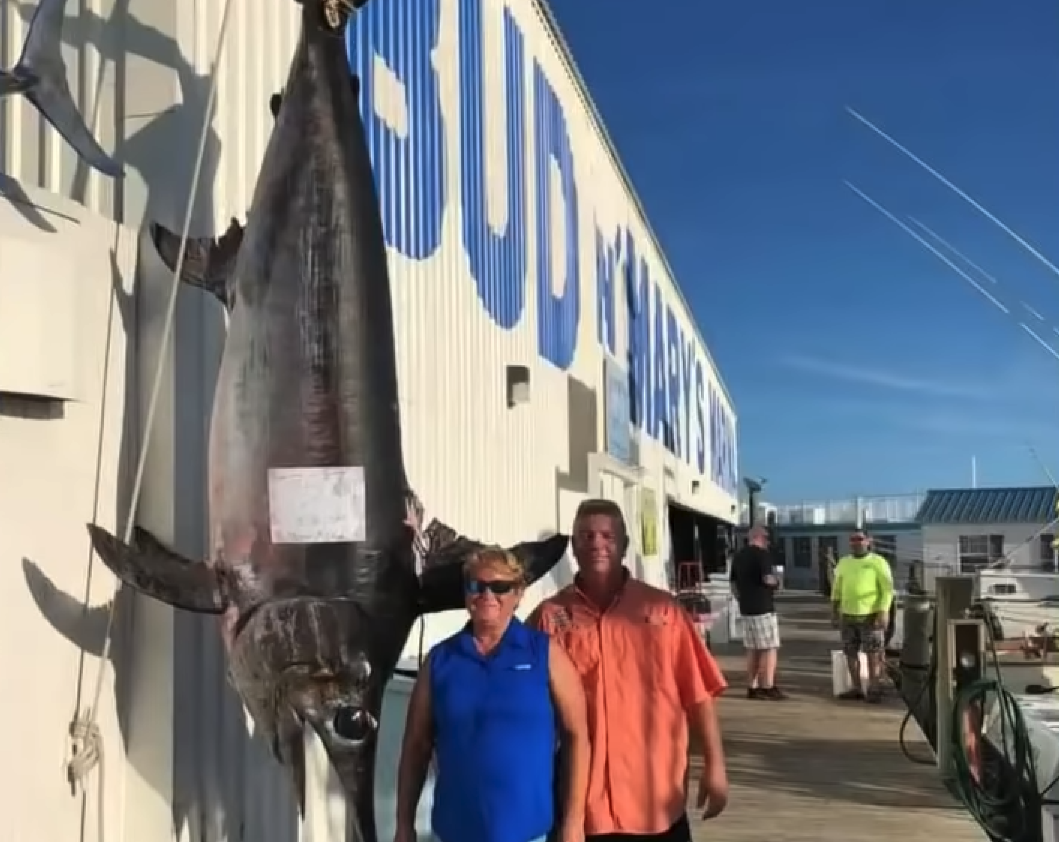 Во Флориде поймали рыбу весом 340 килограммов