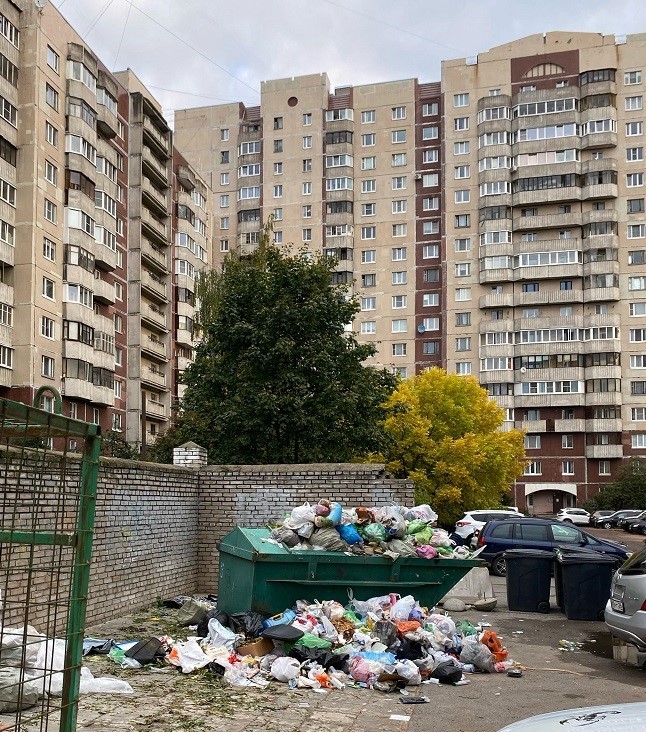 Проблемы с вывозом мусора в Петербурге привели к росту популяции крыс. 11022.jpeg