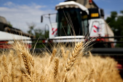 Рекорд по сбору урожая: Ростовская область снова в лидерах