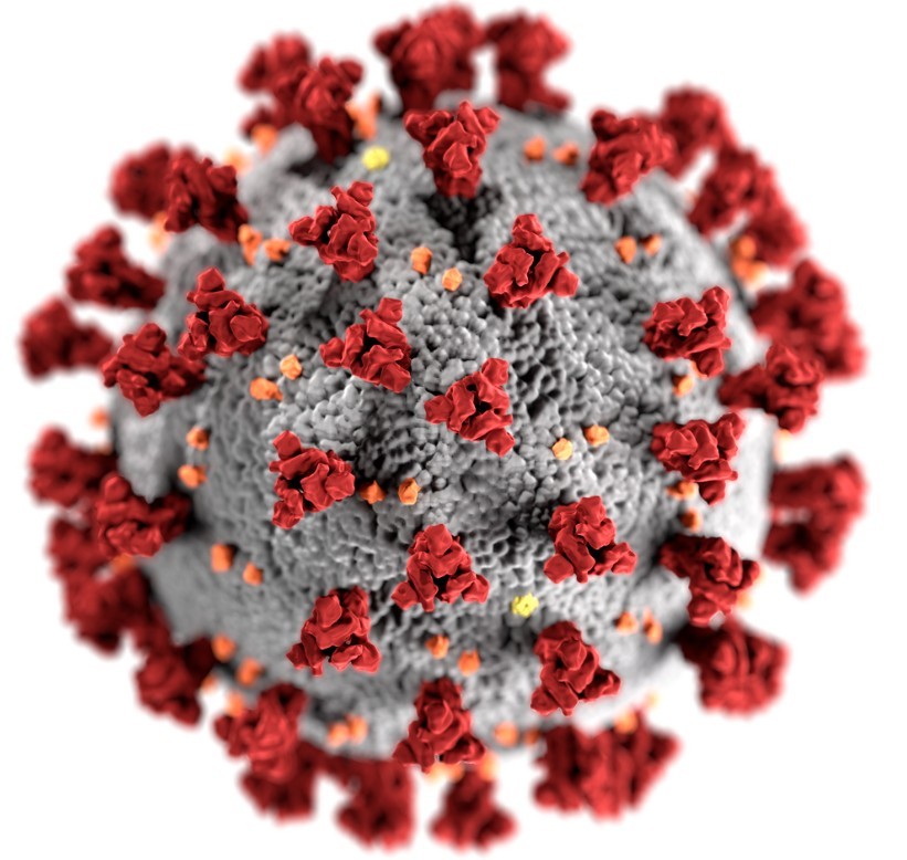 В США считают, что COVID-19 - это искусственный вирус, созданный в КНР