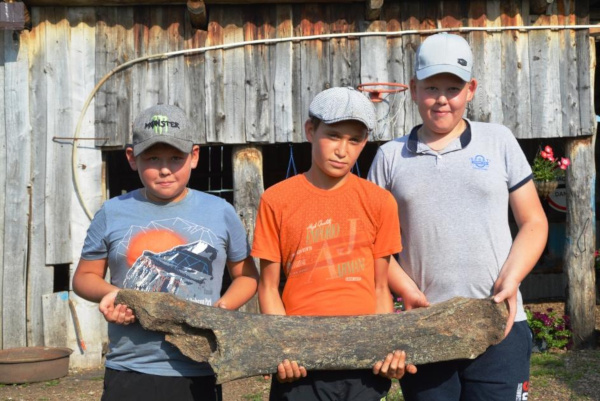 В башкирском нацпарке школьники обнаружили кость мамонта