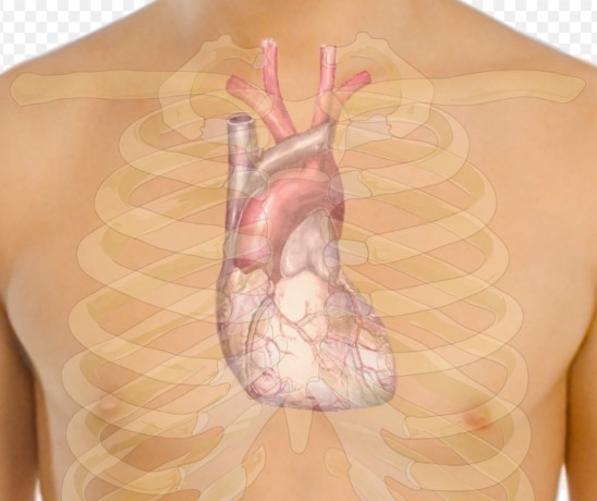 Ученые выявили две основные причины ишемической болезни сердца у людей в возрасте 55-60 лет