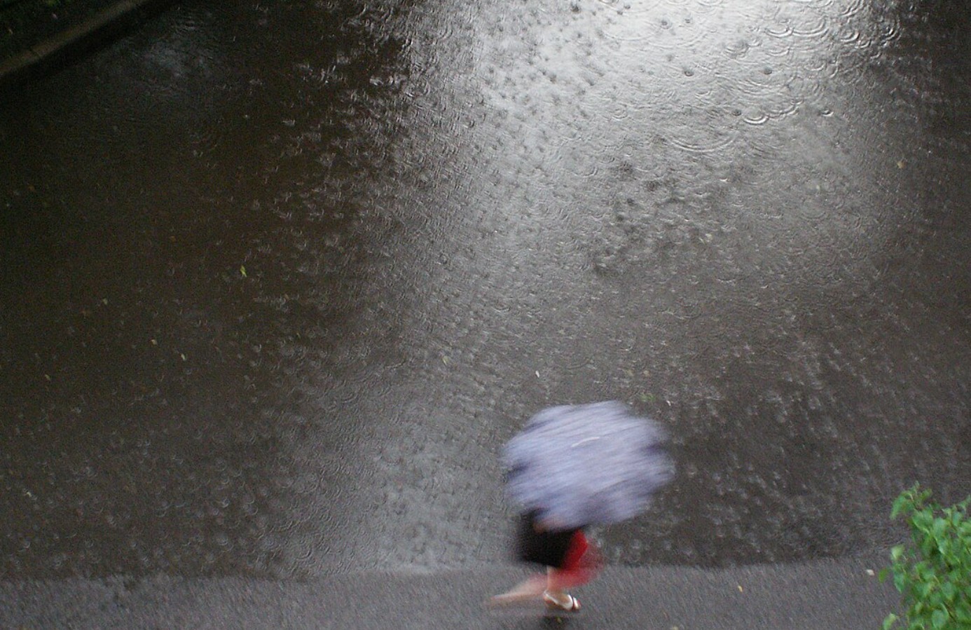 В Москве прогнозируется сильный дождь 25 апреля