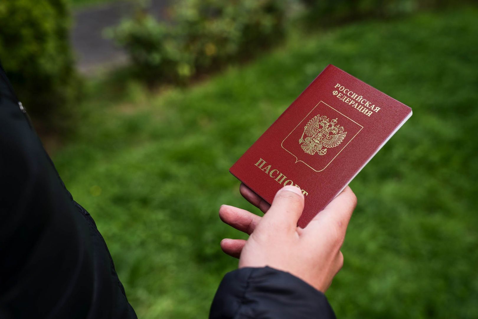 Более 3,2 млн жителей новых регионов получили паспорта России