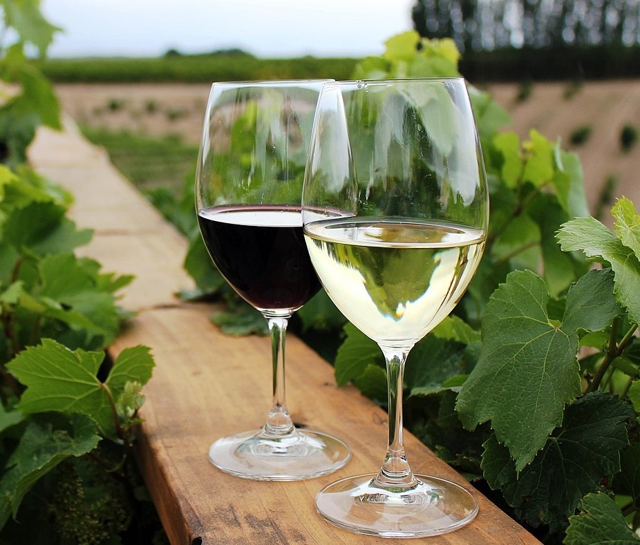 Франция вышла на первое место в мире по объемам производства вина в 2023 году