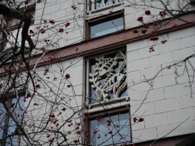 Варварство и вандализм: в Петербурге отреагировали на 