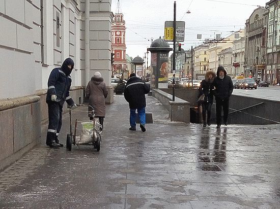 Эколог рассказал о последствиях неправильного использования реагентов на дорогах Петербурга