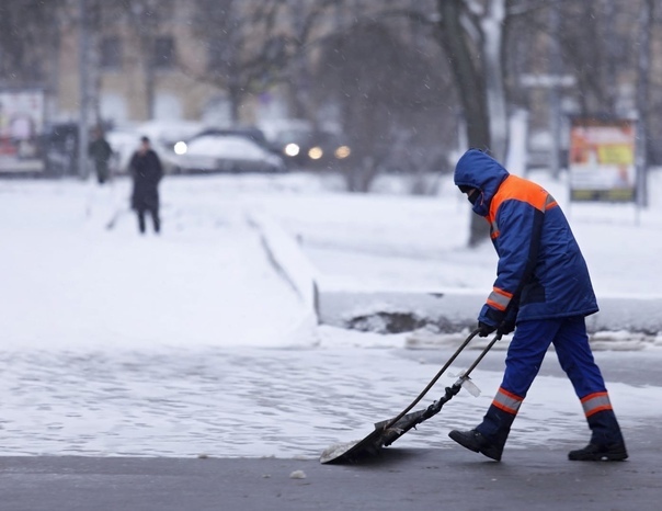 Петербуржцы не пойдут в