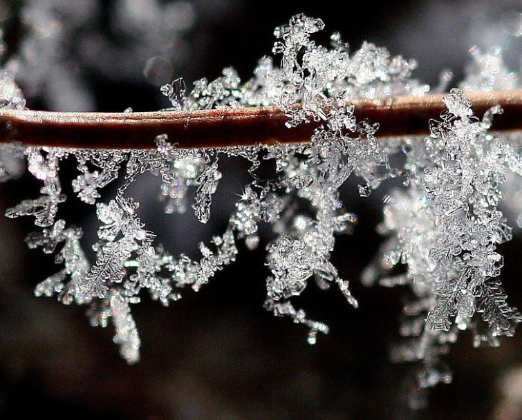 Сибирские ученые из РАН провели исследование влияния холода на организм человека