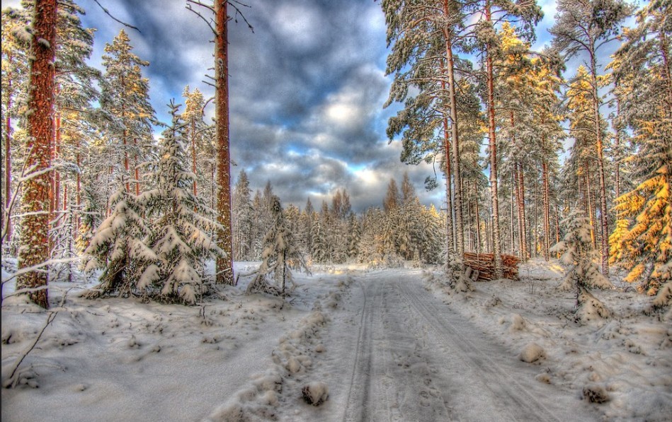 В Финляндии установлен температурный рекорд этой зимы