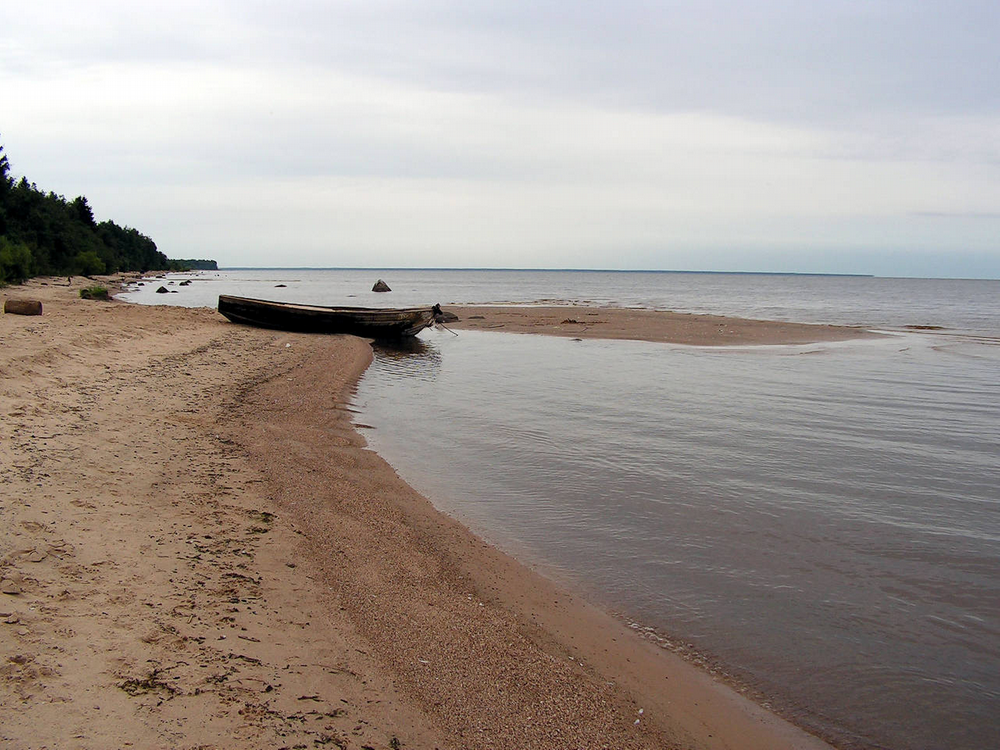 В Рыбинске вместе с водой выплескивают ребенка