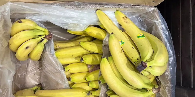 Эквадорские бананы вновь появятся на российских прилавках