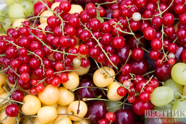 Кабардино-Балкария поставила новый рекорд по выращиванию плодов и ягод