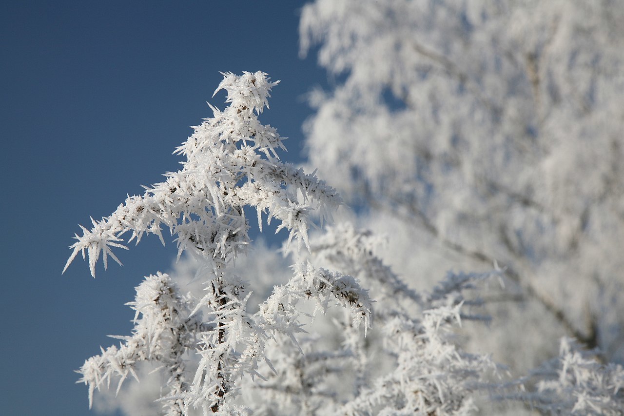 С 10 по 17 декабря в Забайкалье ожидаются аномально низкие температуры