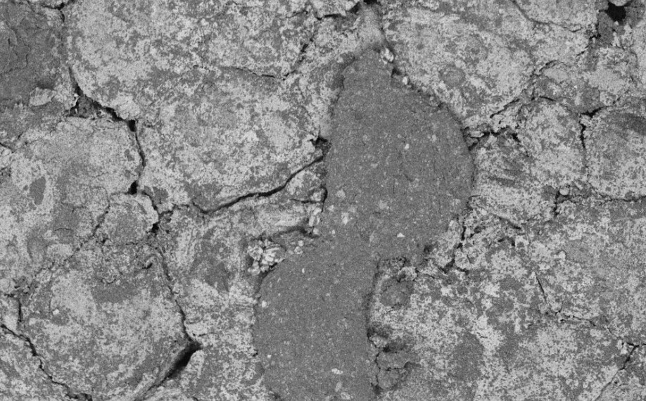 Ученые из Ростова-на-Дону обнаружили признаки наличия лития в отложениях высохшего Аральского моря