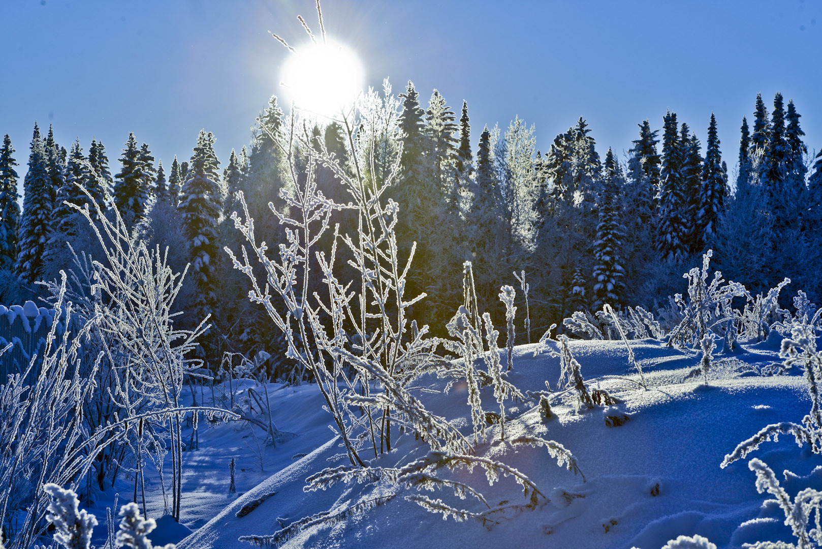 Экстремальные морозы ожидают Чукотку и Камчатку: температура снизится до 17 градусов ниже нормы