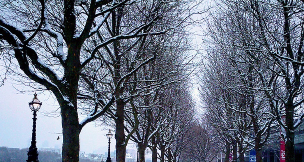 Штормовое предупреждение из-за снега объявили в Сочи