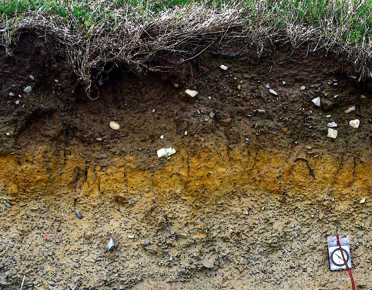 Ученые РФ создали полимеры, помогающие почве удерживать влагу