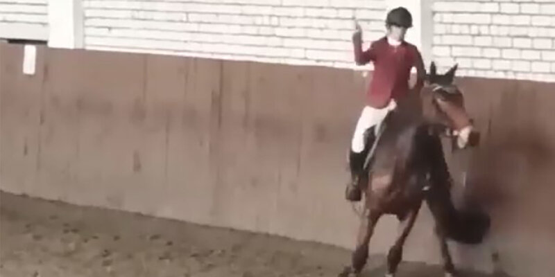 Избиение лошади стало причиной дисквалификации российской всадницы