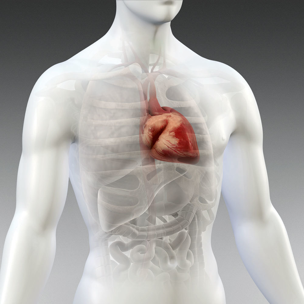 Выявлена связь между псориазом и заболеваниями сердца