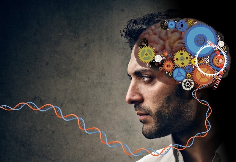 Психолог Рощина выделила факторы, влияющие на ухудшение памяти