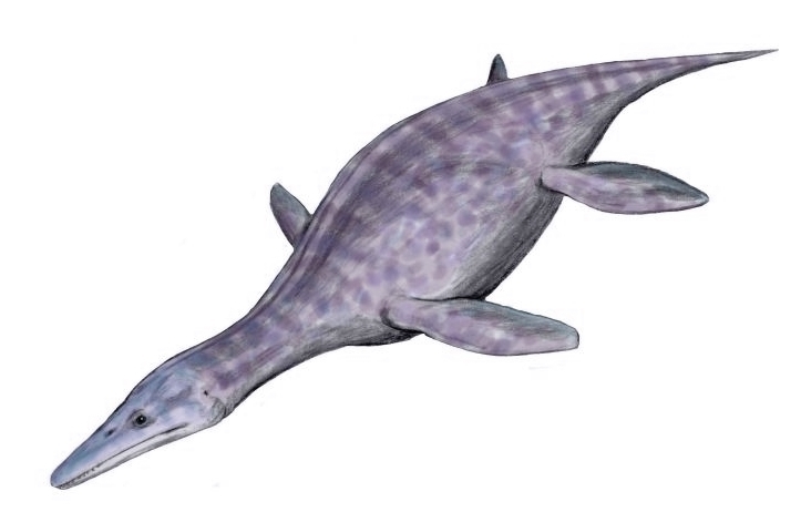 У берегов Англии обнаружен череп гигантского морского плиозавра