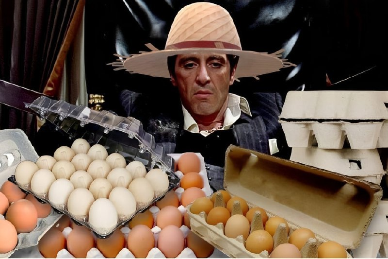 Импортное яйцо отправляется на переработку, а не на прилавки