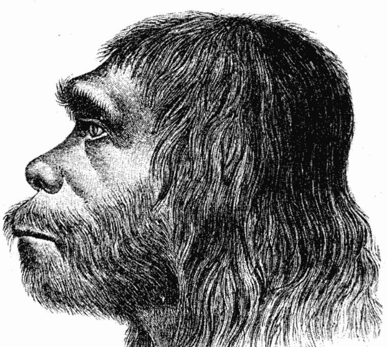 Ученые обнаружили связь между ранним подъемом у людей и неандертальцами