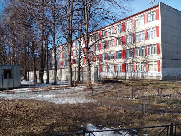 Сотрудники СК обнаружили нарушения в проекте застройки сквера возле школы №121 в Петербурге