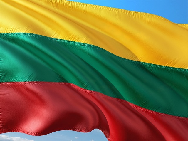 Власти Литвы разрешили бесплатную выдачу виз преследуемым белорусам