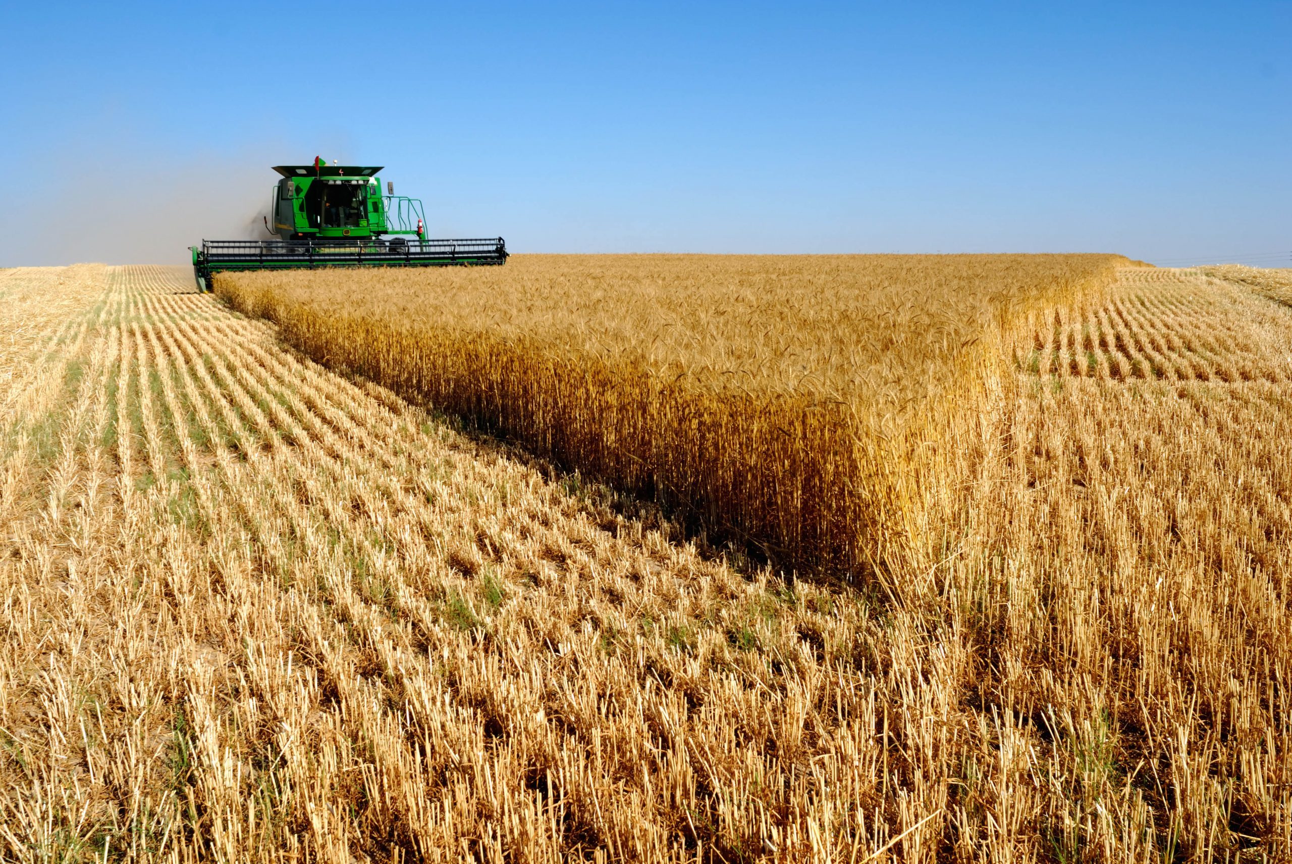Ограничения на импорт сельхозпродукции с Украины в ЕС предварительно согласованы