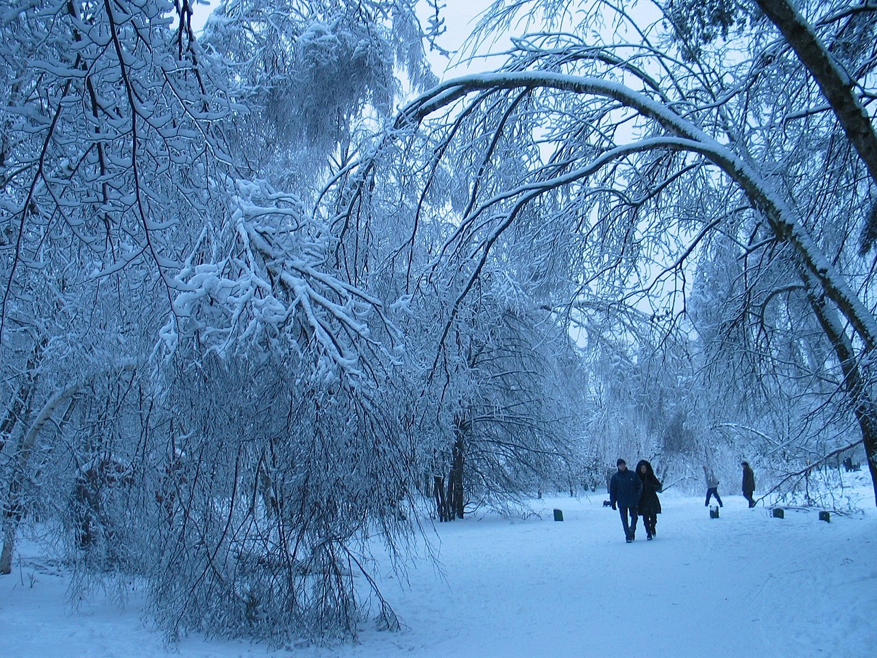 К концу следующей недели в Москве ожидается снежный покров высотой до 6 сантиметров