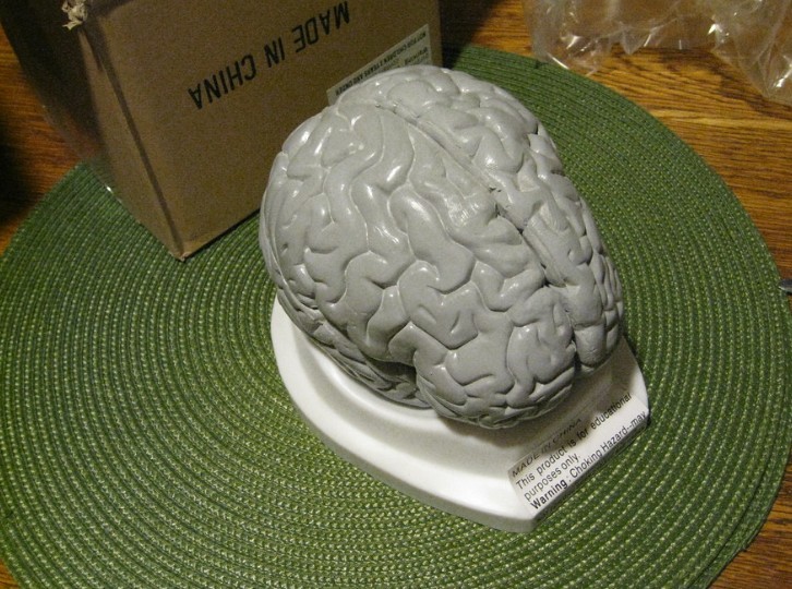 Ученые из США разработали метод 3D-печати функциональной ткани мозга