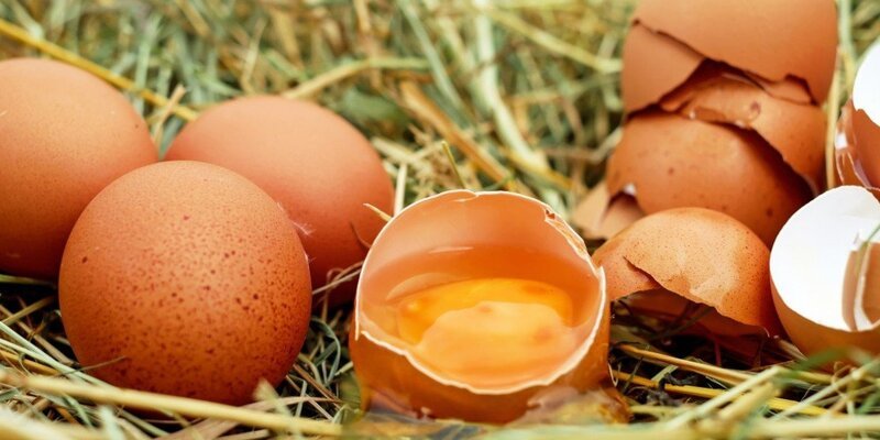 Новая поставка яиц из Турции задерживается