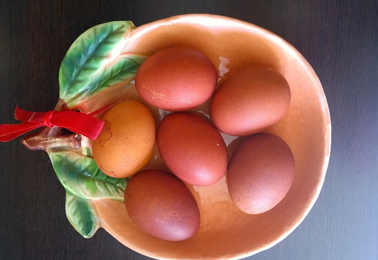 Диетолог Комиссарова сообщила, что в день можно съесть не более двух яиц