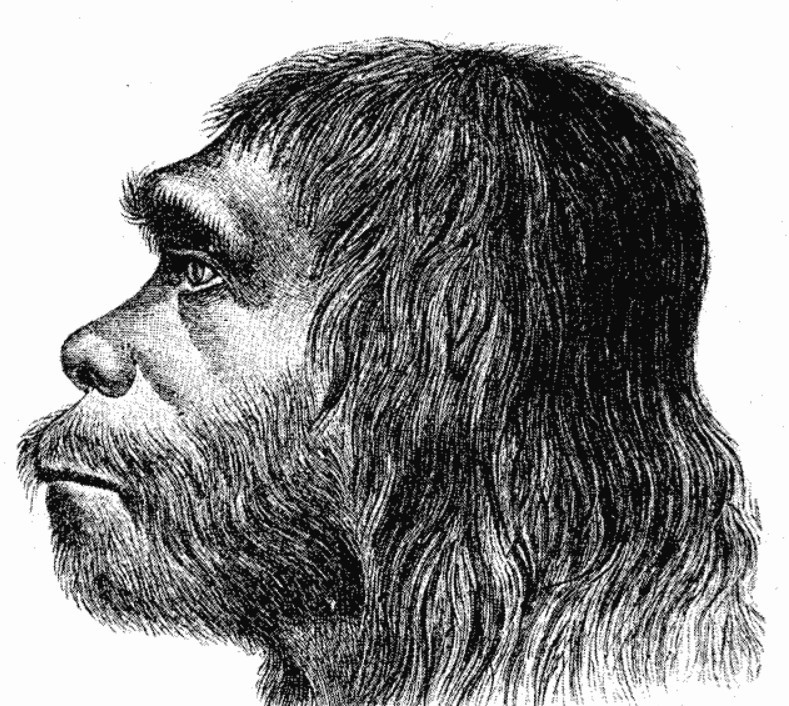Группа археологов из США и Германии выяснила, что неандертальцы умели готовить сложные виды клея
