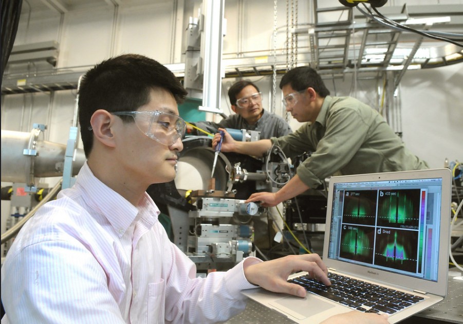 Китайские химики разработали литиевый фотокатализатор, способный синтезировать аммиак с высокой эффективностью