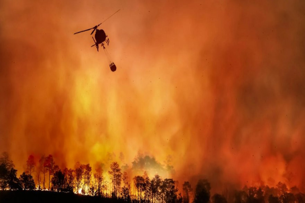 Более 100 человек погибло в пожарах Чили