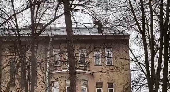Коммунальщики  убирают наледь с крыш в Петербурге молотками и кирпичами. 10508.jpeg