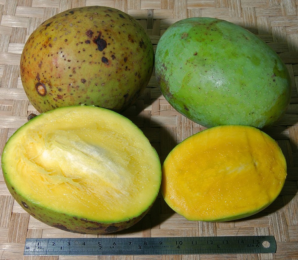 Новое исследование выявило потенциальные противораковые свойства мангиферина, содержащегося в манго