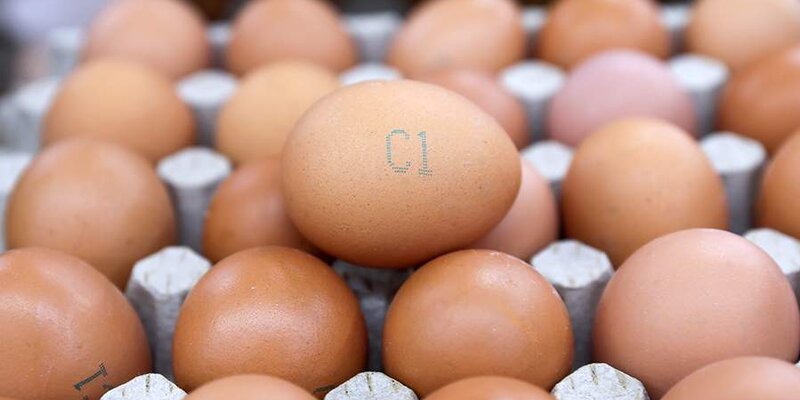 Цены на яйца могут быть снижены в течение полутора месяцев