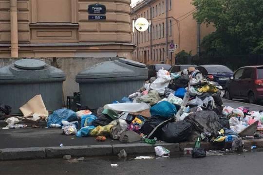 Эксперты РБК: концепция НЭО по обращению с отходами не решит мусорной проблемы в Ленобласти