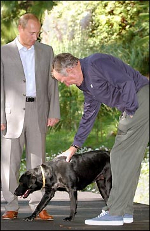 Путин обошел Буша на собаках