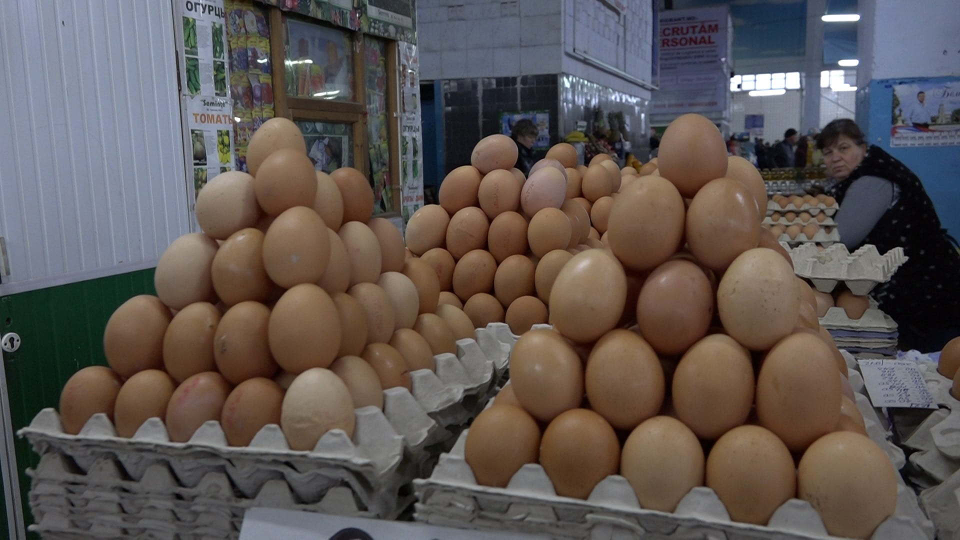 В Омской области на свалку выкинули множество куриных яиц