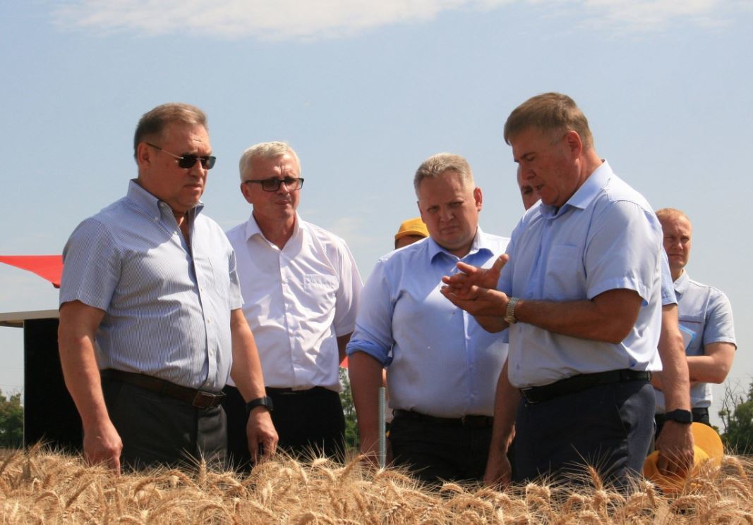 На Дону приближаются к "экватору" уборочные работы на полях. 11546.jpeg