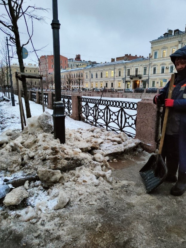 Как снегоуборка коммунальных служб наносит вред деревьям Петербурга. 10562.jpeg