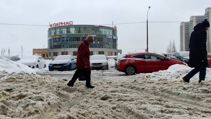 Коммунальные службы решили не чистить юго-запад Петербурга от снега 23 февраля