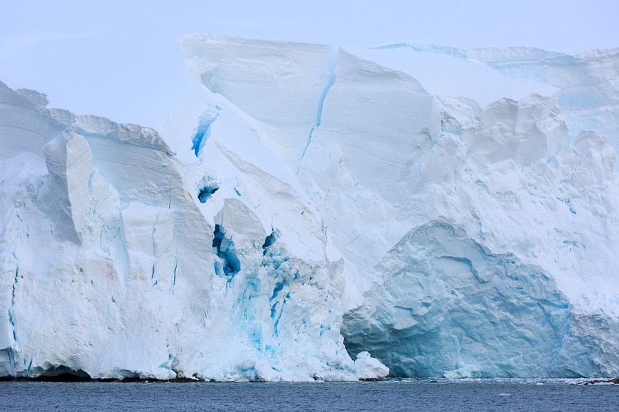 Ученые объявили о необратимости процесса таяния огромных ледников Антарктиды